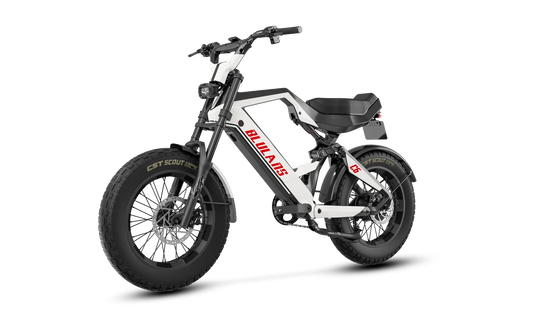 BLULANS C6 Carbon Fiber Moped-Style Electric Bike – 500W, 48V 15Ah