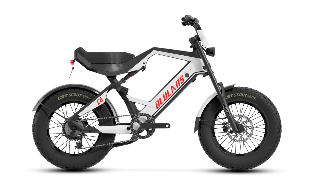 BLULANS C6 Carbon Fiber Moped-Style Electric Bike – 500W, 48V 15Ah