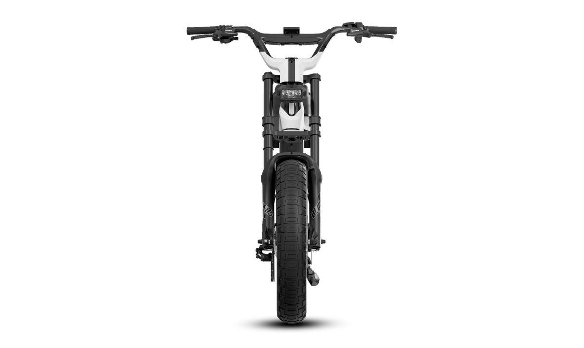 BLULANS C6 Carbon Fiber Moped-Style Electric Bike – 500W, 48V 15Ah