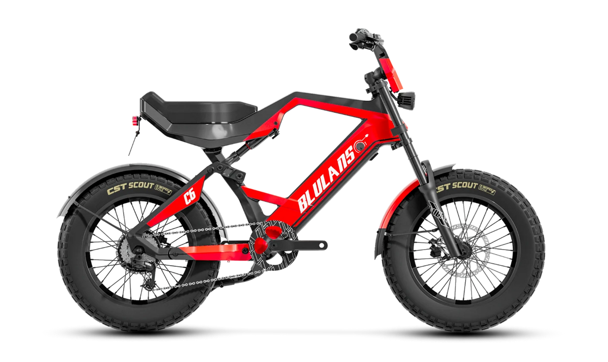 BLULANS C6 Carbon Fiber Moped-Style Electric Bike – 500W, 48V 15Ah