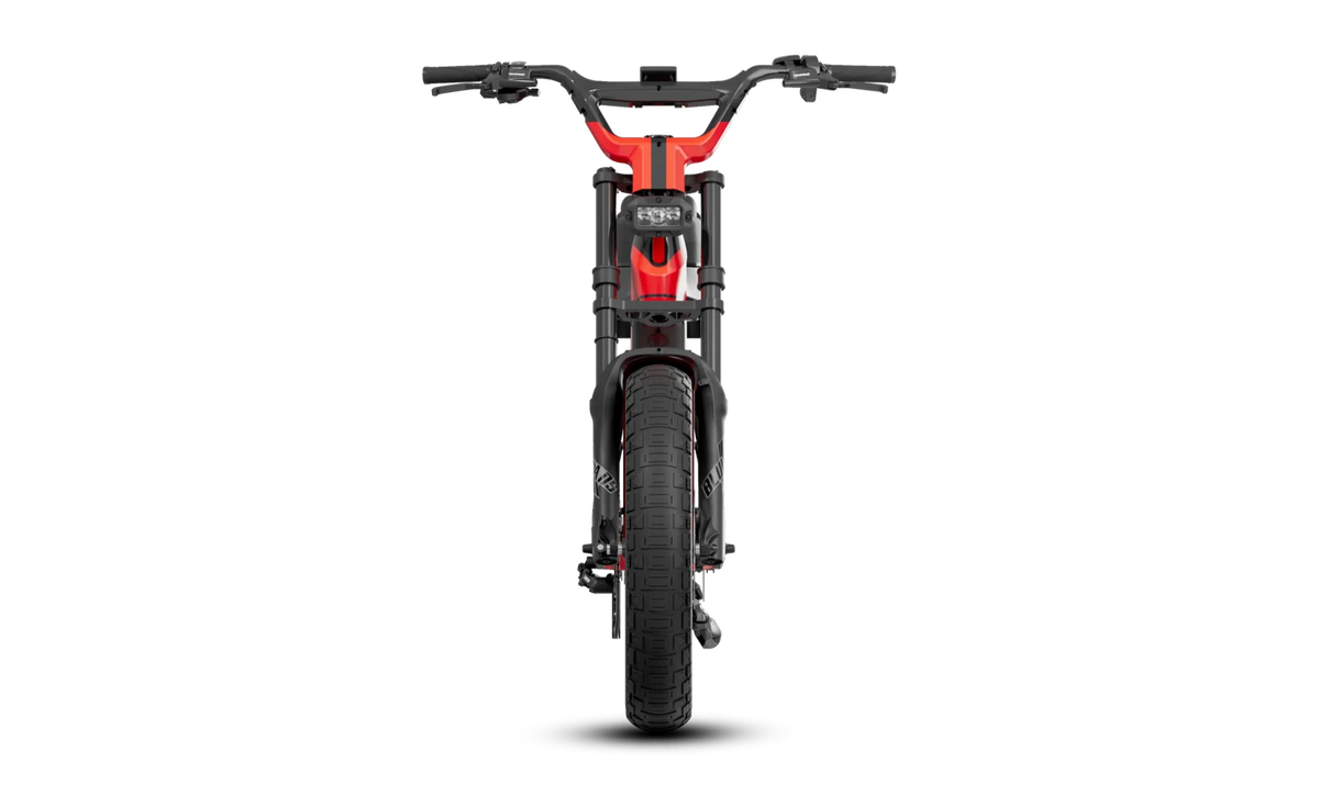 BLULANS C6 Carbon Fiber Moped-Style Electric Bike – 500W, 48V 15Ah