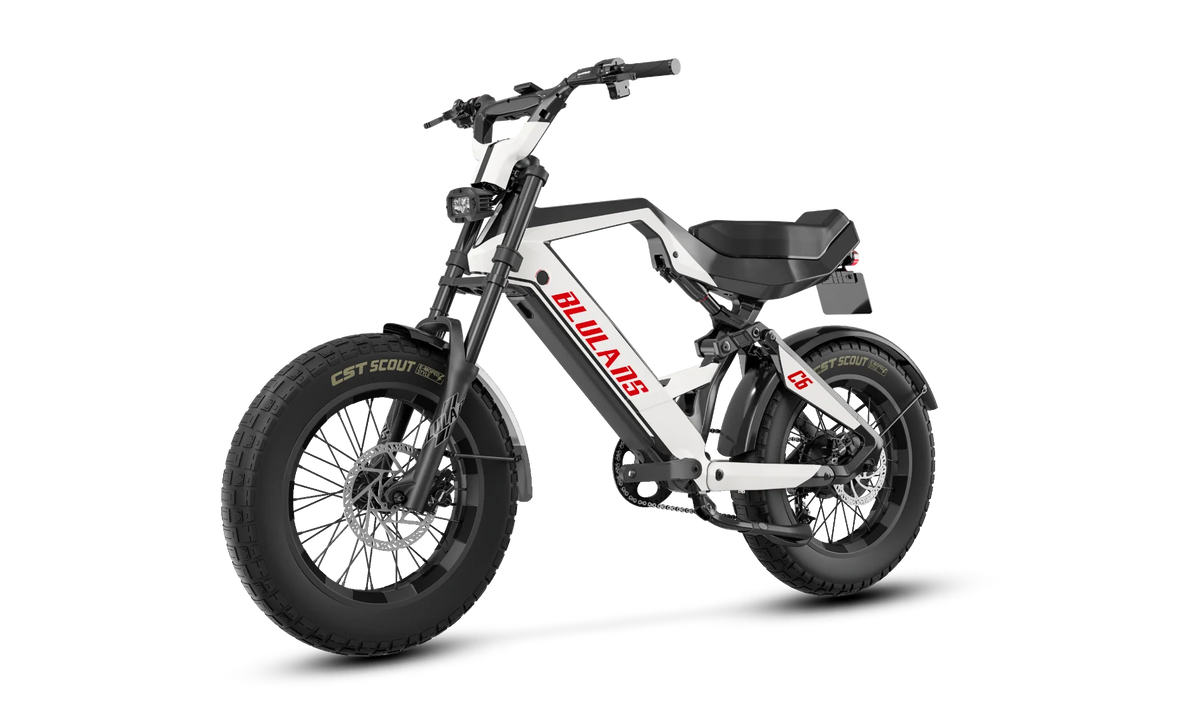 BLULANS C6 Carbon Fiber Moped-Style Electric Bike – 500W, 48V 15Ah