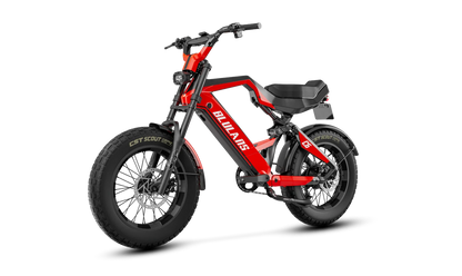BLULANS C6 Carbon Fiber Moped-Style Electric Bike – 500W, 48V 15Ah